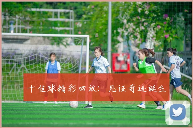 十佳球精彩回放:见证奇迹诞生