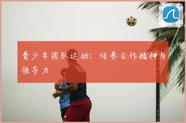 青少年团队运动：培养合作精神与领导力